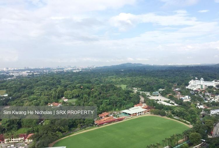 Sky@Eleven (D11), Condominium #177420682
